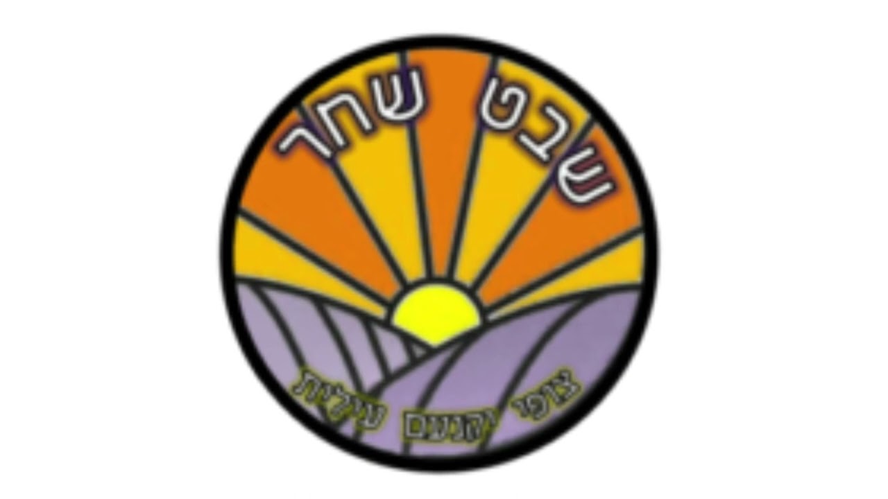 פרובוקטיבית - שיר מחנה 2023 צפונבורי שבט שחר