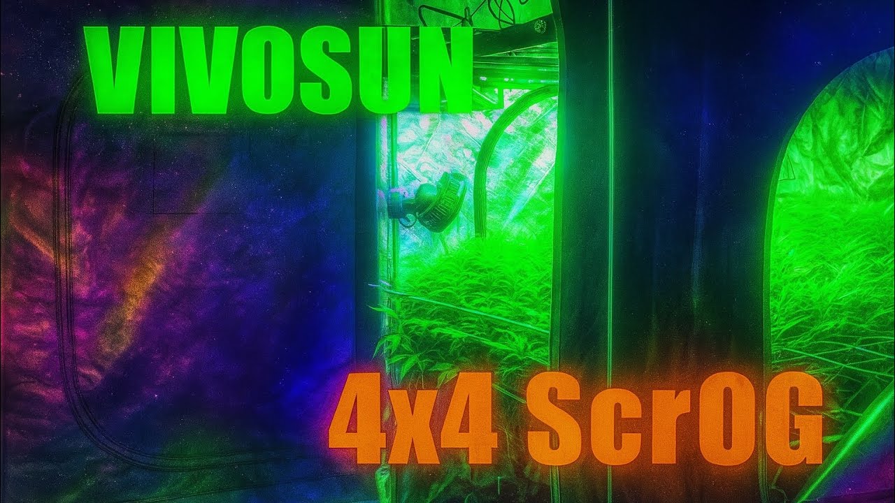 VIVOSUN 4x4 Grow Update Going for 2 pounds #garden #plants #organic #gardeningtips #indoorgardening
