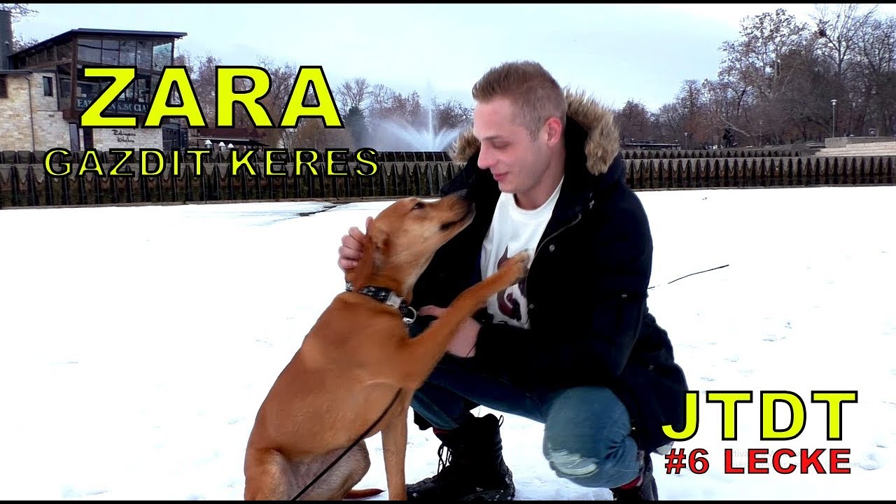 JTDT - Zara gazdit keres! (egy menhelyi kutya története)  ⋆English subtitles⋆