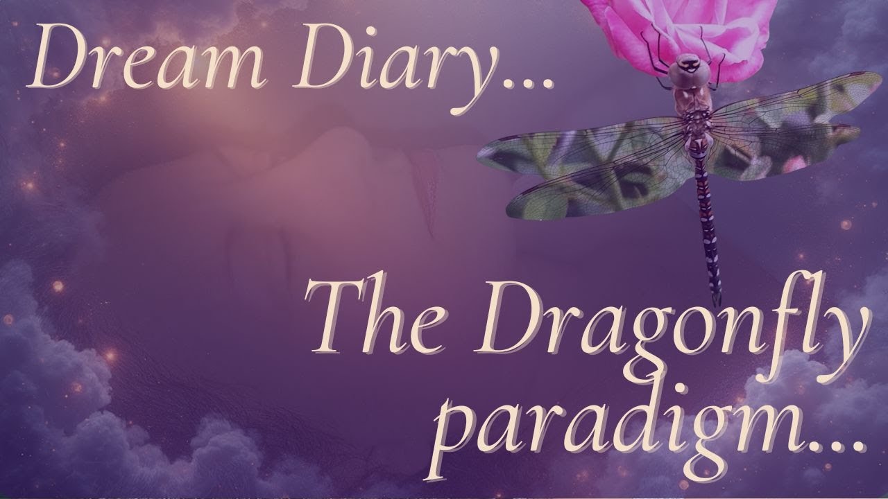 Dragonfly Dream Symbolism - Why Your Transformation Doesn't Need Suffering