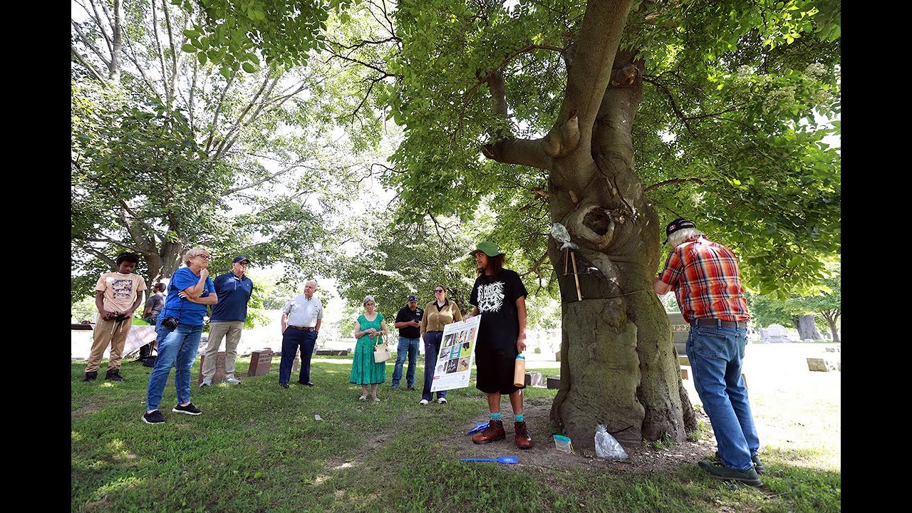 RE TREE Workforce Recruitment for 2026.