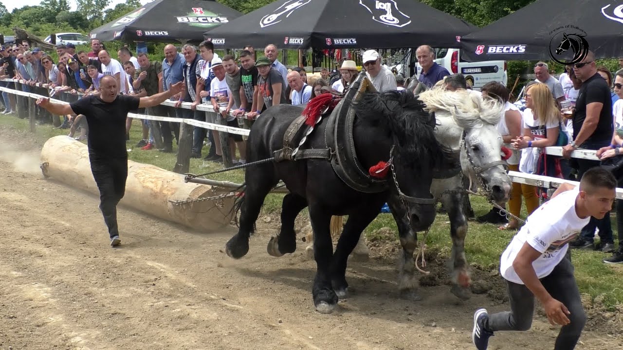 - MILAN AMIĆ PRVAK LAKE U VELIKOJ GORICI KOD PEREKOVIĆA -