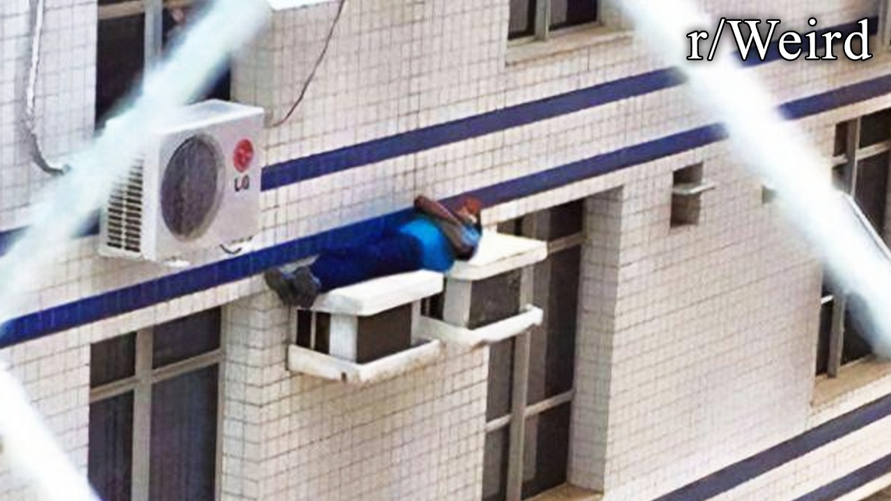 strange images from reddit