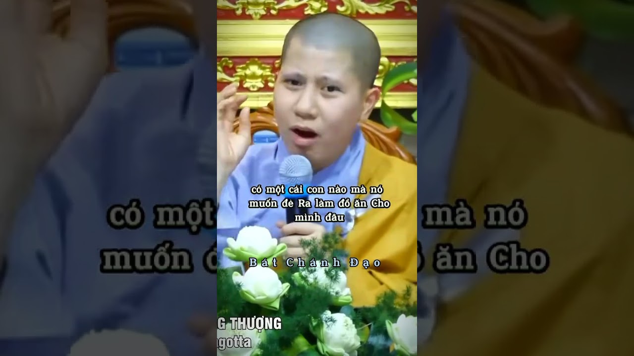 #trietlycuocsonghaynhat #loiphatday #trietlysong #baihoccuocsong #baihoccuocsong #tamtrangcuocsong