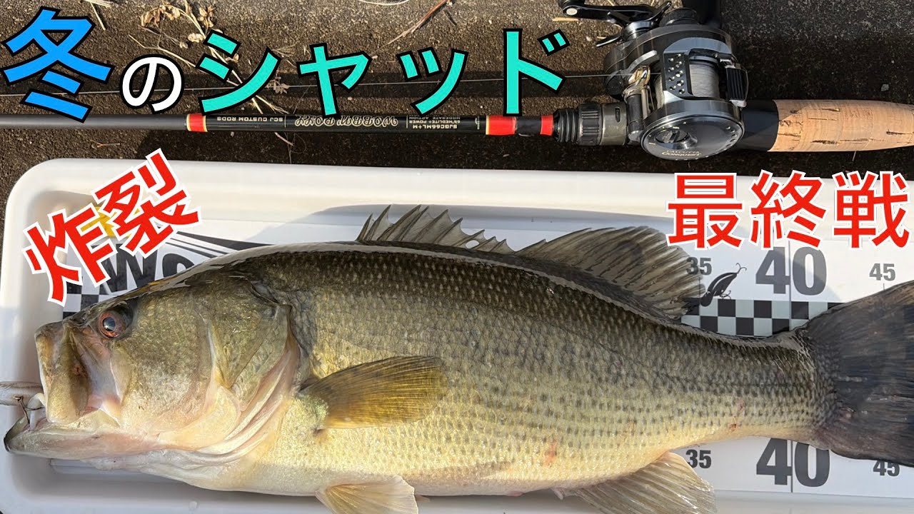 九州の冬は冬じゃない？12月のシャッド！涙のウォブンロールユーザー大会最終戦
