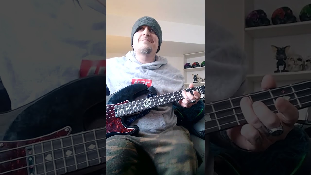 P!nk Just Like a Pill bass cover