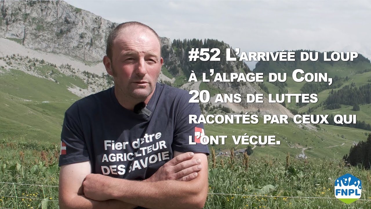 #52 L’arrivée du loup a l’alpage du Coin, 20 ans de luttes racontés par ceux qui l’ont vécue.
