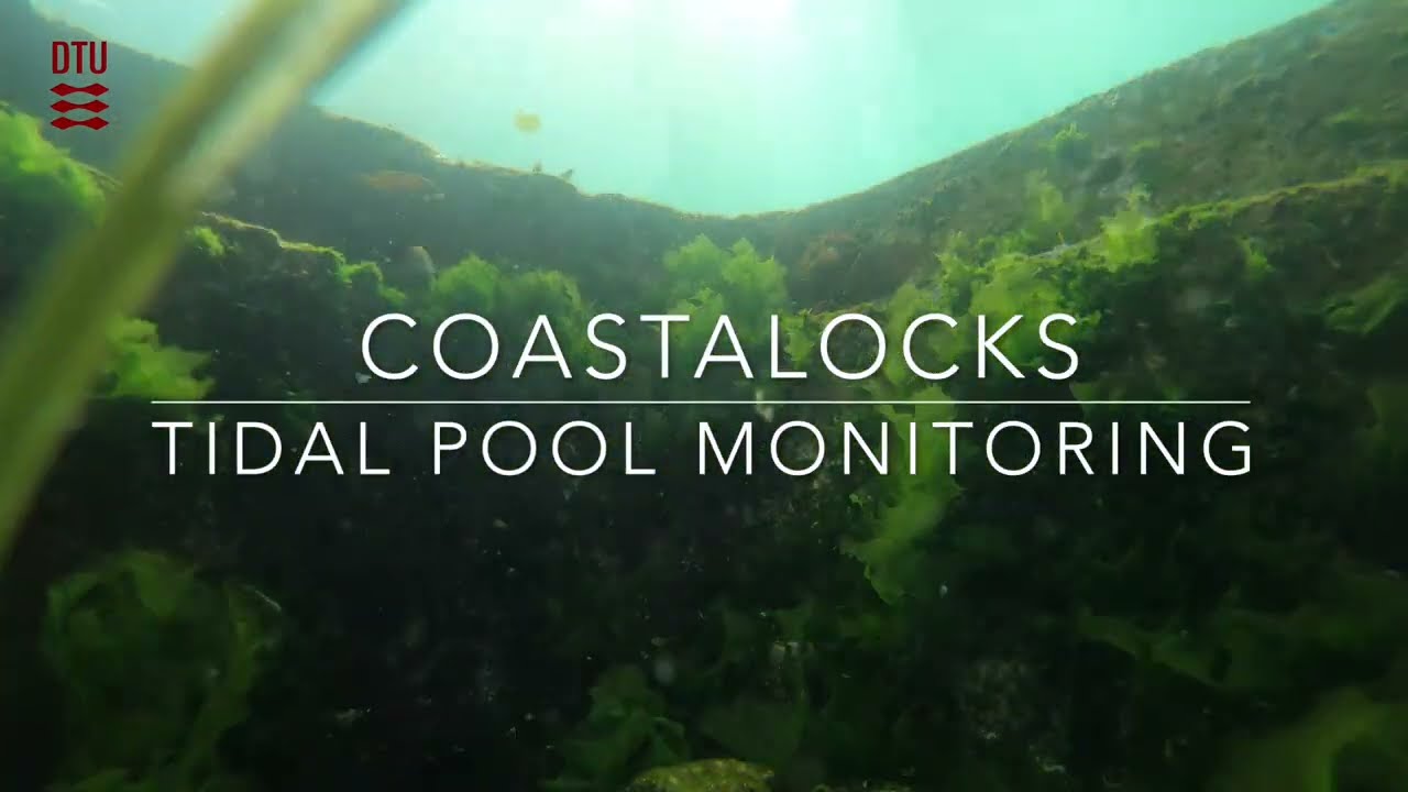Tidal Pool - Eco-engineering blue-urban environments