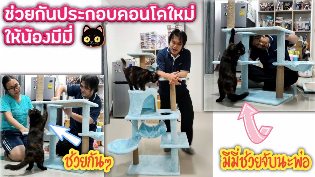 คอนโดใหม่สุดน่ารักของน้องมีมี่🐈 | NTLifestyle