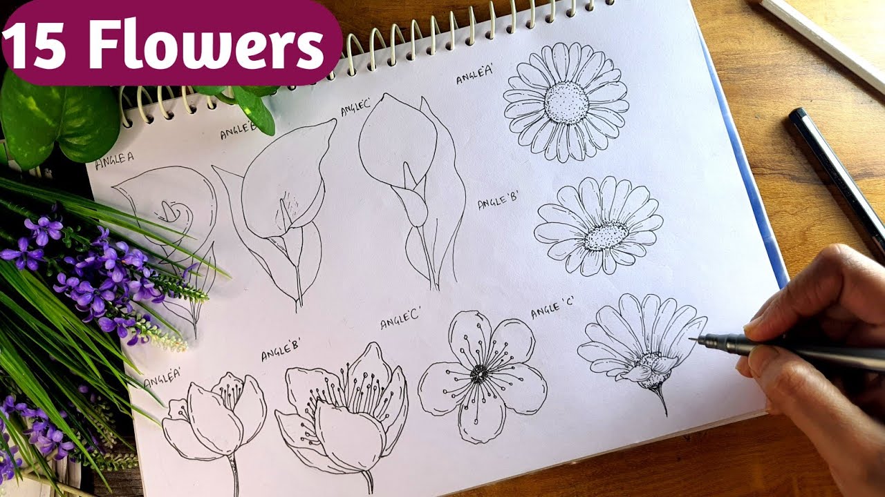 How To Draw Flowers || Drawing 15 Flowers From DIFFERENT ANGLES Easy Step By Step For Beginner's