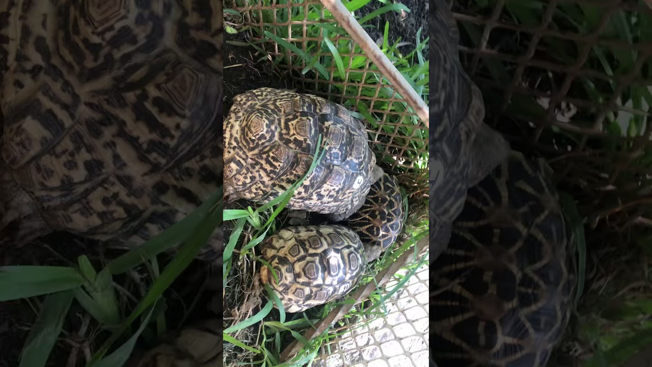 Conozcan un poco más de Quinta las Limas