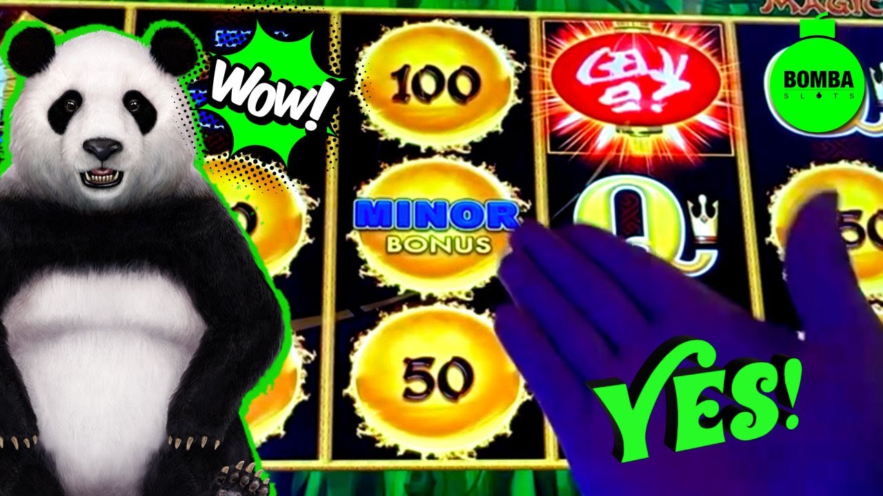 YES!!! 🎉 A Little Bit of Albert in Our Lives! #Florida #LasVegas #Casino #SlotMachine