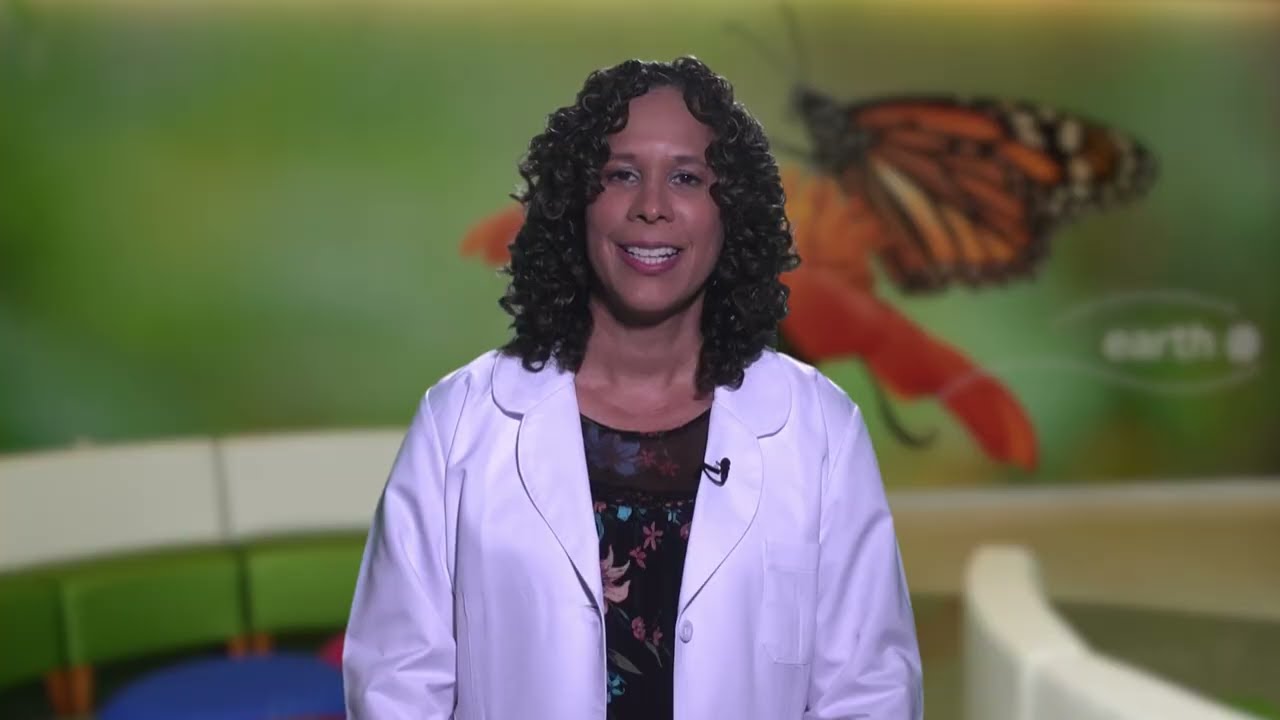 Se&ntilde;ales de autismo (TEA) en ni&ntilde;os