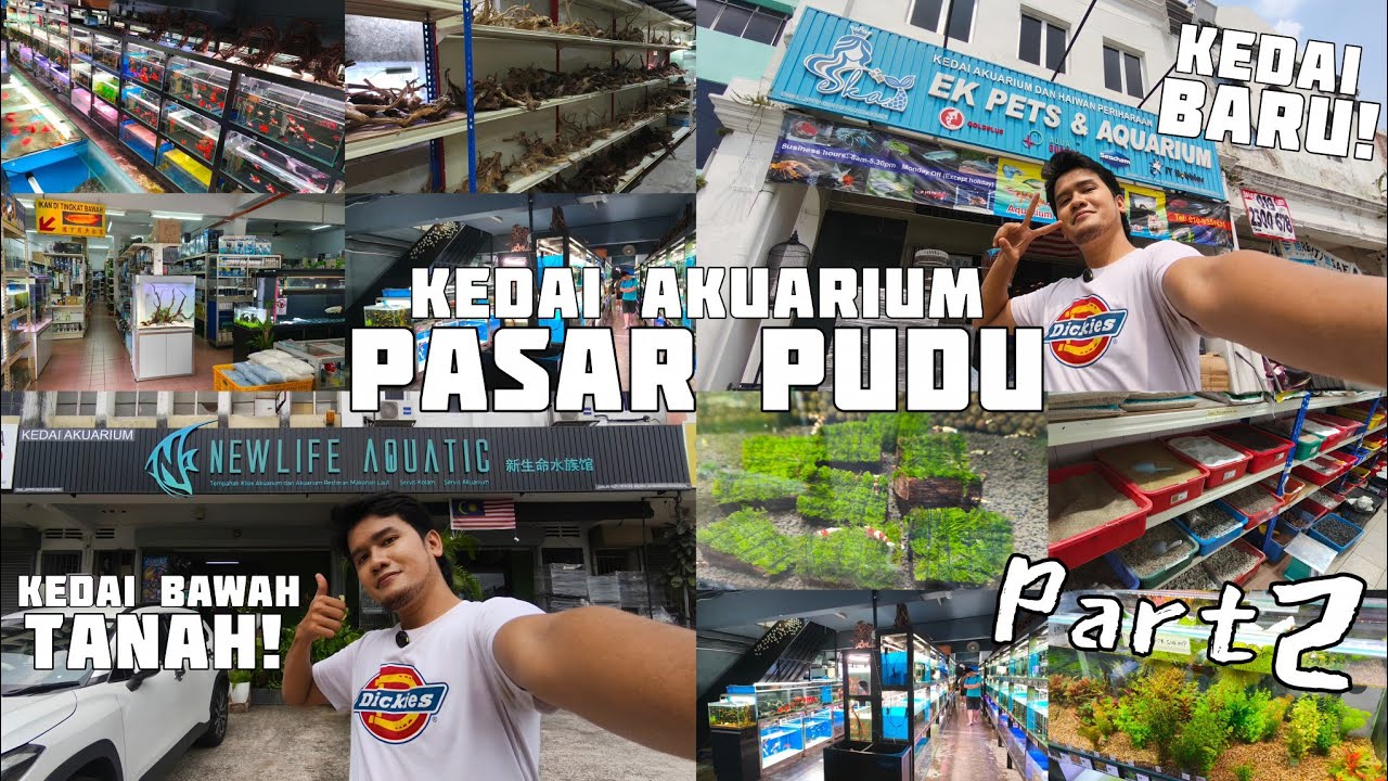 🎥 VLOG SHOPPING DI KEDAI AKUARIUM PASAR PUDU! 🐠🐟