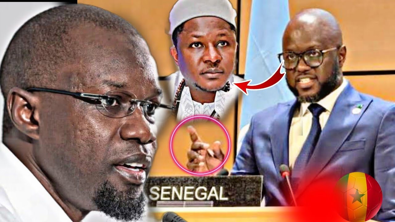 Les grandes Révélations El Malick Ndiaye- sur Ousmane Sonko et cheikh bara ndiaye Bassirou faye