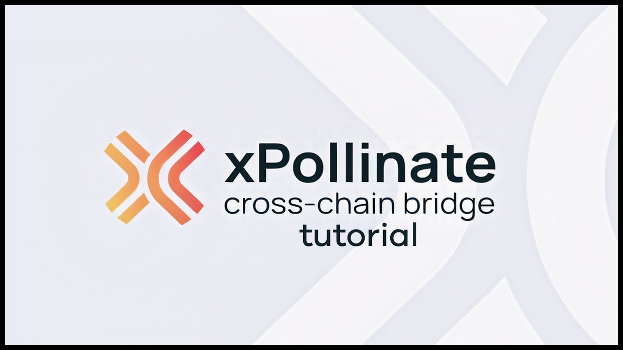 Effortless Cross-chain Stablecoin Swaps with xPollinate