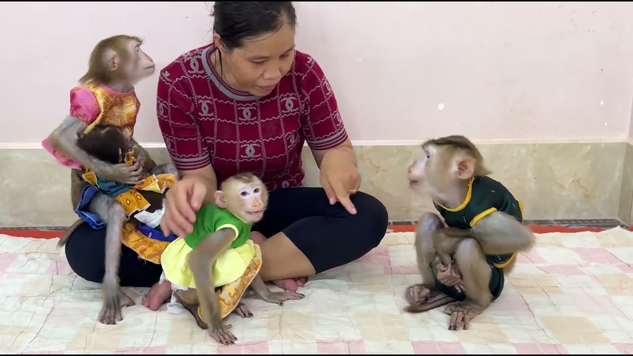 OMG!! Mom Finger Pointed To Stop Naughty Brother Sovan Not To Chase Sister Jula Away ,