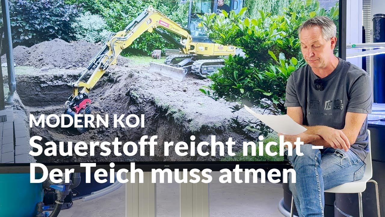 Warum Sauerstoff kein Ersatz für Belüftung ist | Modern Koi Blog #7528
