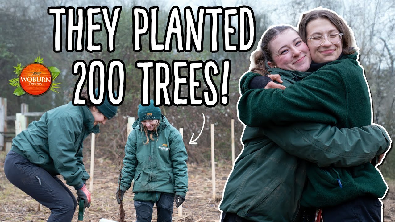 Keepers Planted 200 Trees at the Forest of Marston Vale!🌲