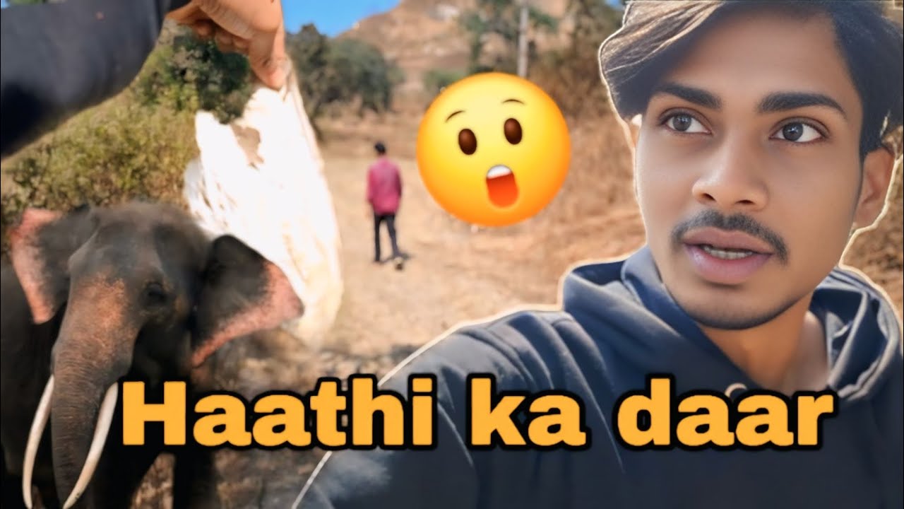 Jungle mai kya mila aaj 😲