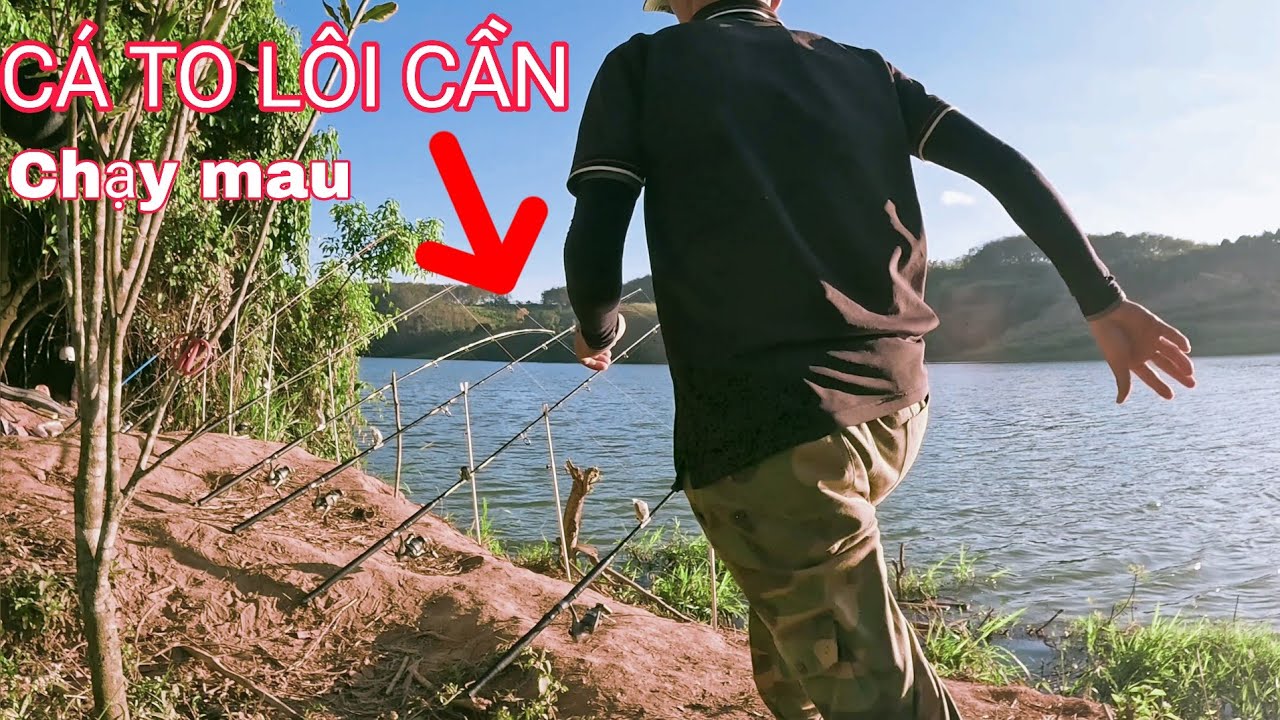 Câu Cá Sông Tự Nhiên LÊN CÁ TO bằng Lăng Xê sau ngày đầu bị cá kéo Gãy Lưỡi #P2