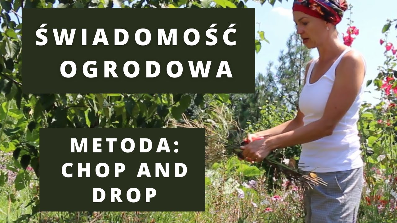 Świadomość Ogrodowa | Metoda „CHOP AND DROP” i inne... | Naturalne metody w ogrodzie | ściółkowanie