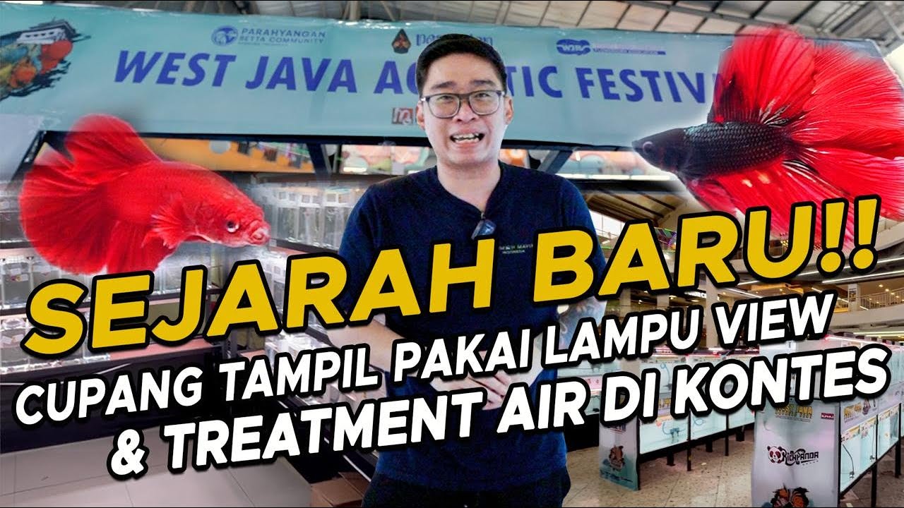 KEPOIN KONTES KOKI & CUPANG DI PASUNDAN WEST JAVA AQUATIC FEST 2025‼️