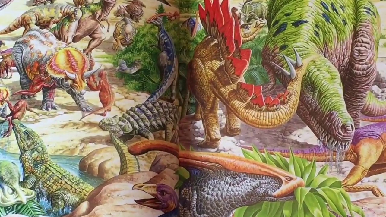 A Look Inside Usborne The Great Animal Search Book