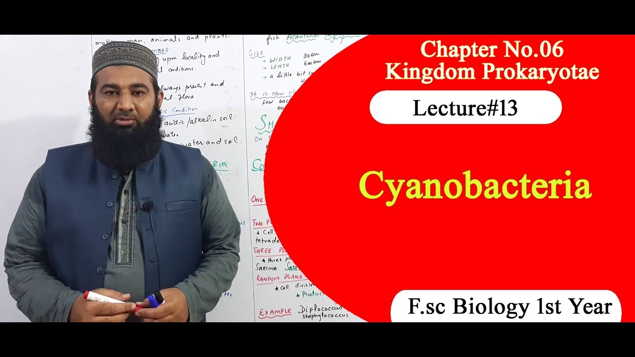 Biology Ch#06-Lecture#13 Cyanobacteria  (F.Sc 1st Year)