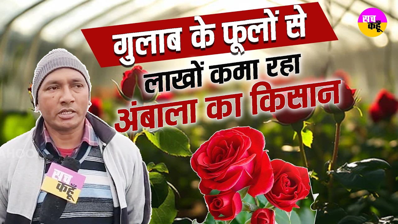 गेहूं-धान छोड़ा, फूलों से चमकी किस्मत | Rose & Marigold Farming Haryana  | Net House Farming Ambala
