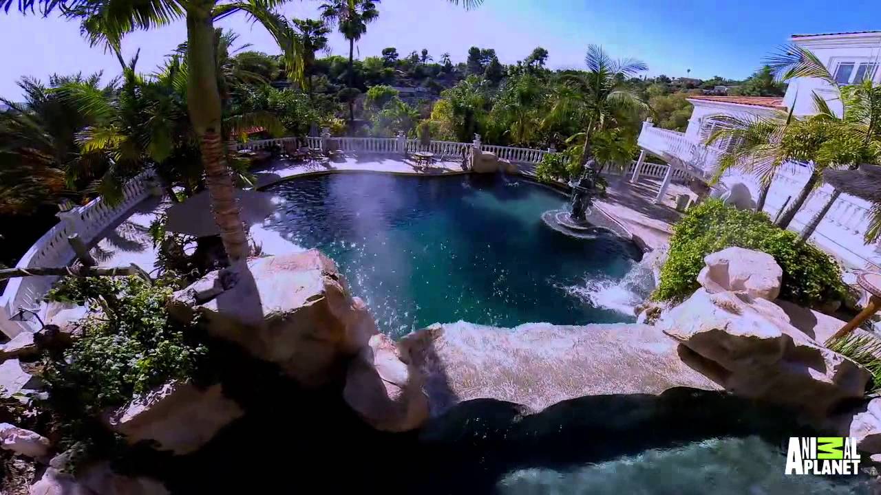 This Pool Has a Secret | The Pool Master