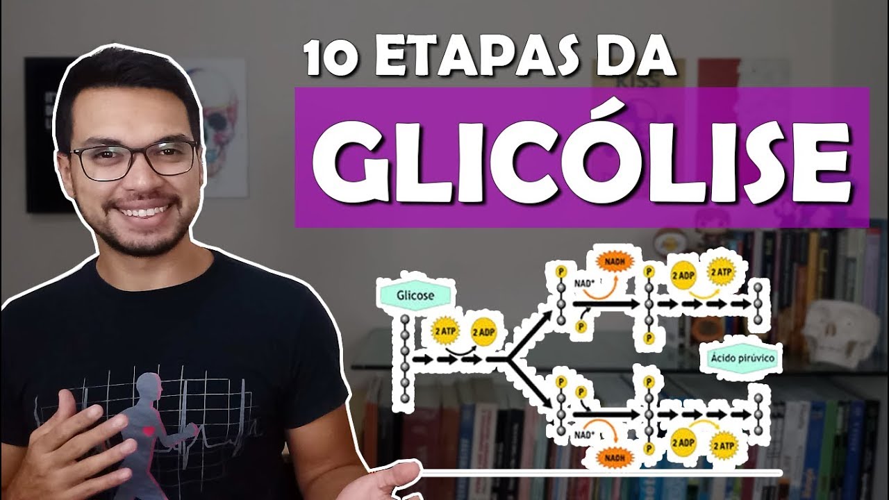 GLICÓLISE [Metabolismo 05]