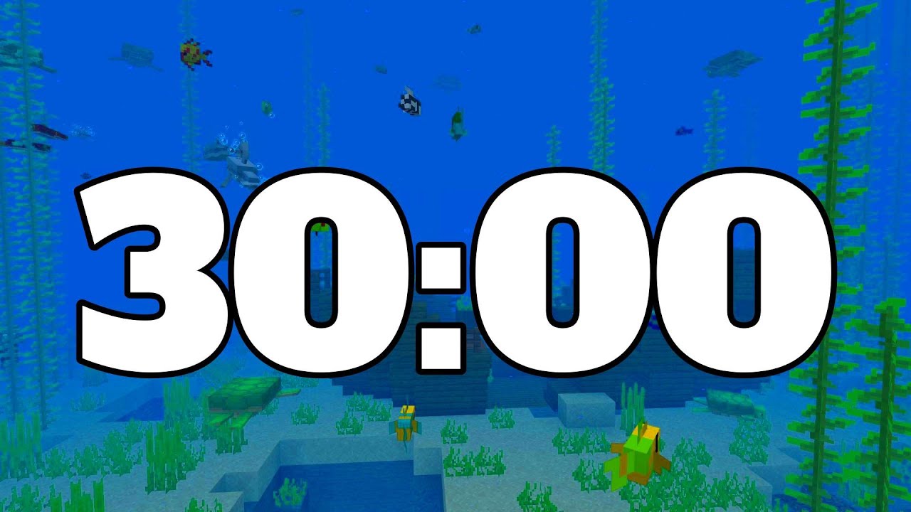 30 MINUTE TIMER. MINECRAFT TIMER.