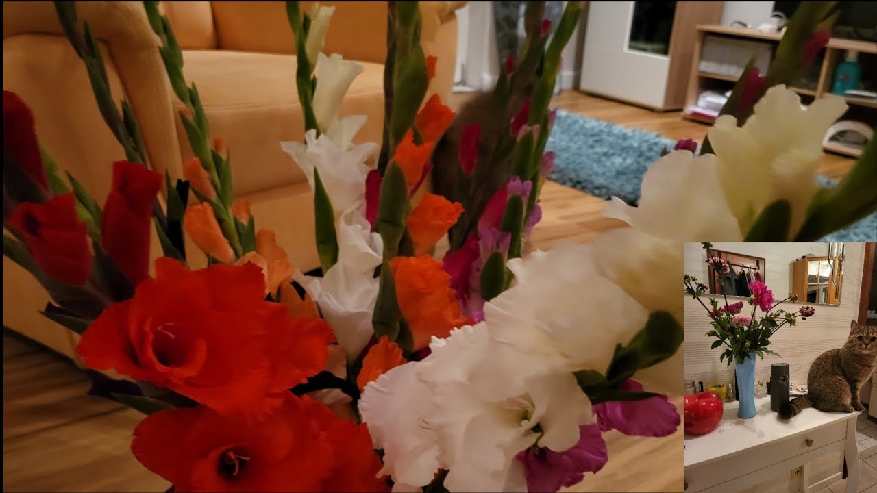 приехали сделать Hylase Lippen auflösen, по дороге нарвали 💐 