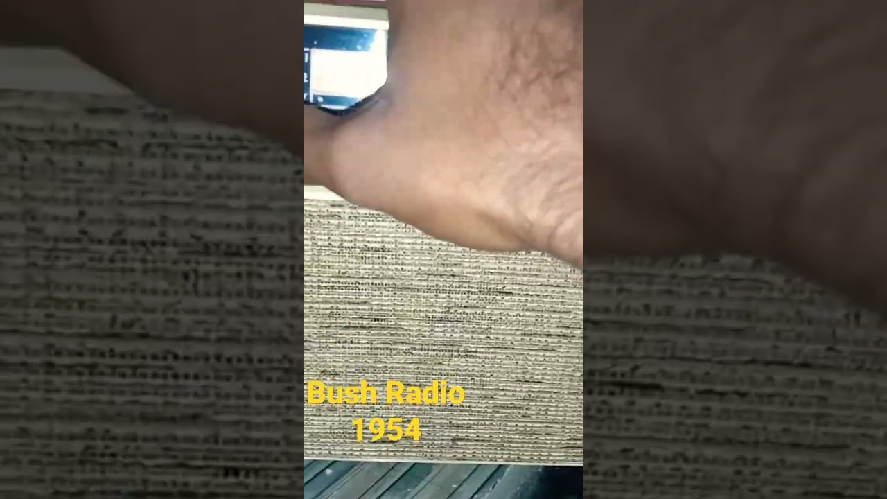 Bush Radio 1954 