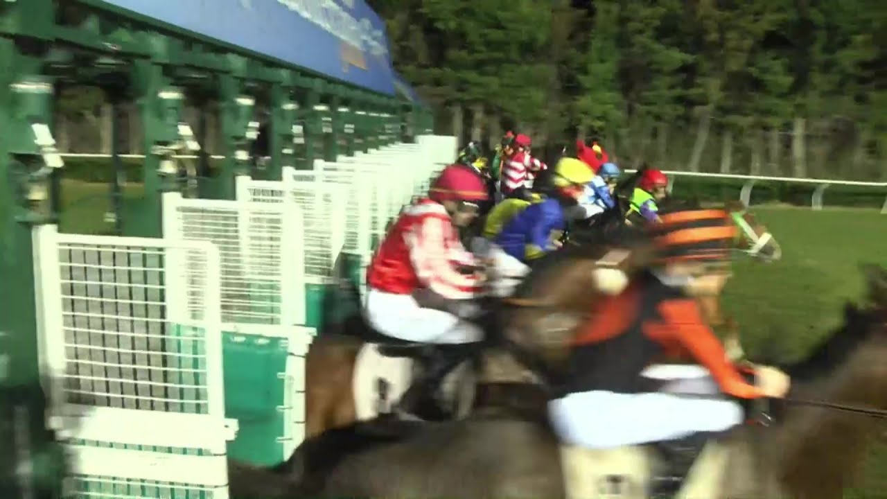 Highlights Galoppo 23 Gennaio 2026