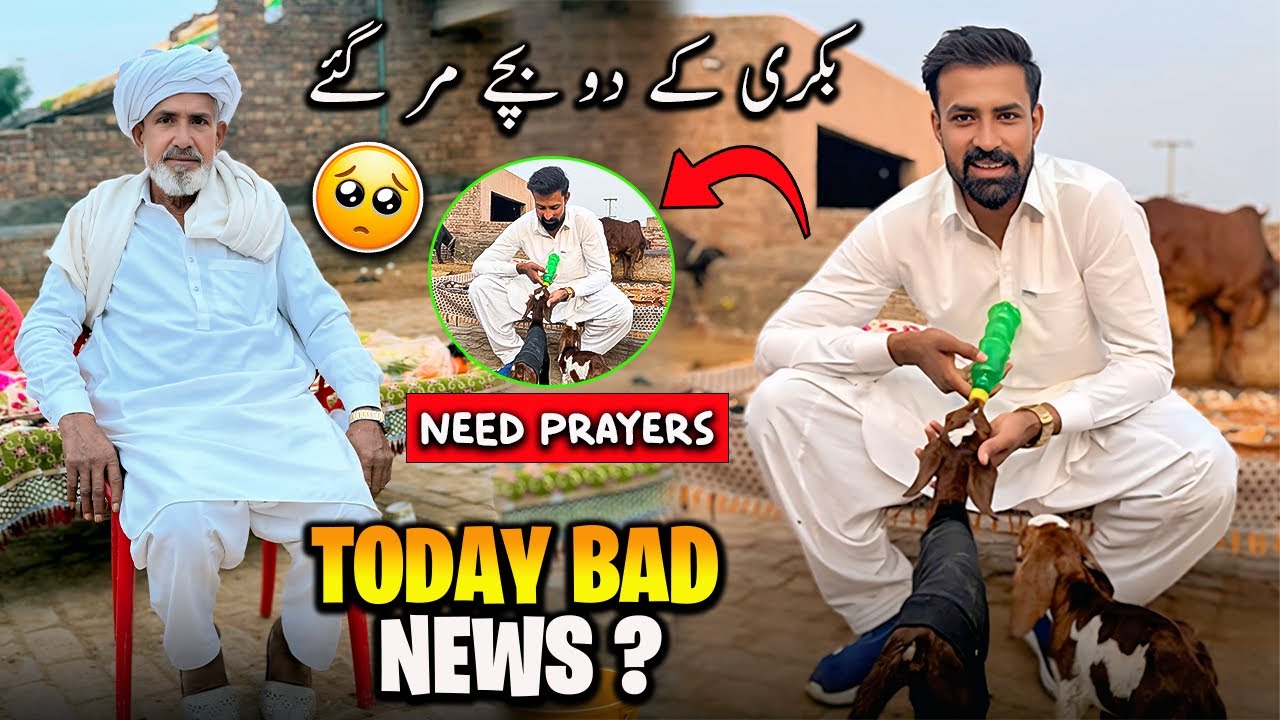 Bad News For Abu Jan 😞 | ابو کی بکری کے دو بچے مر گئے ابو پریشان