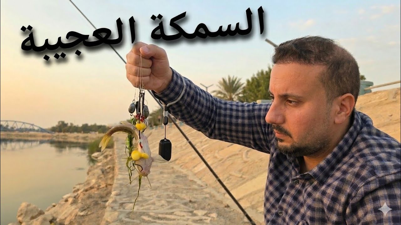 رحله صيد سمج وفطور على كورنيش الحلة بدون بشرية وشوفو شنو صدنه من سمجه غريبه 😳