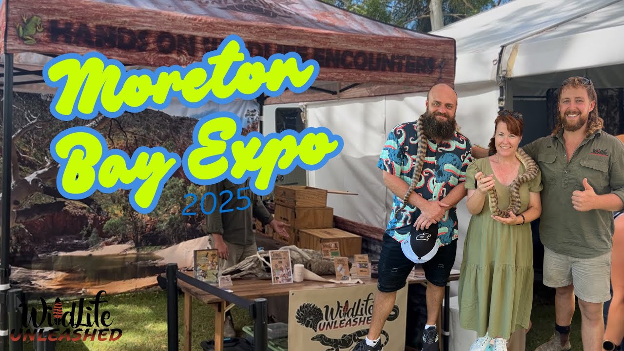 Moreton Bay expo with Mick | Follow us for a day at the expo!