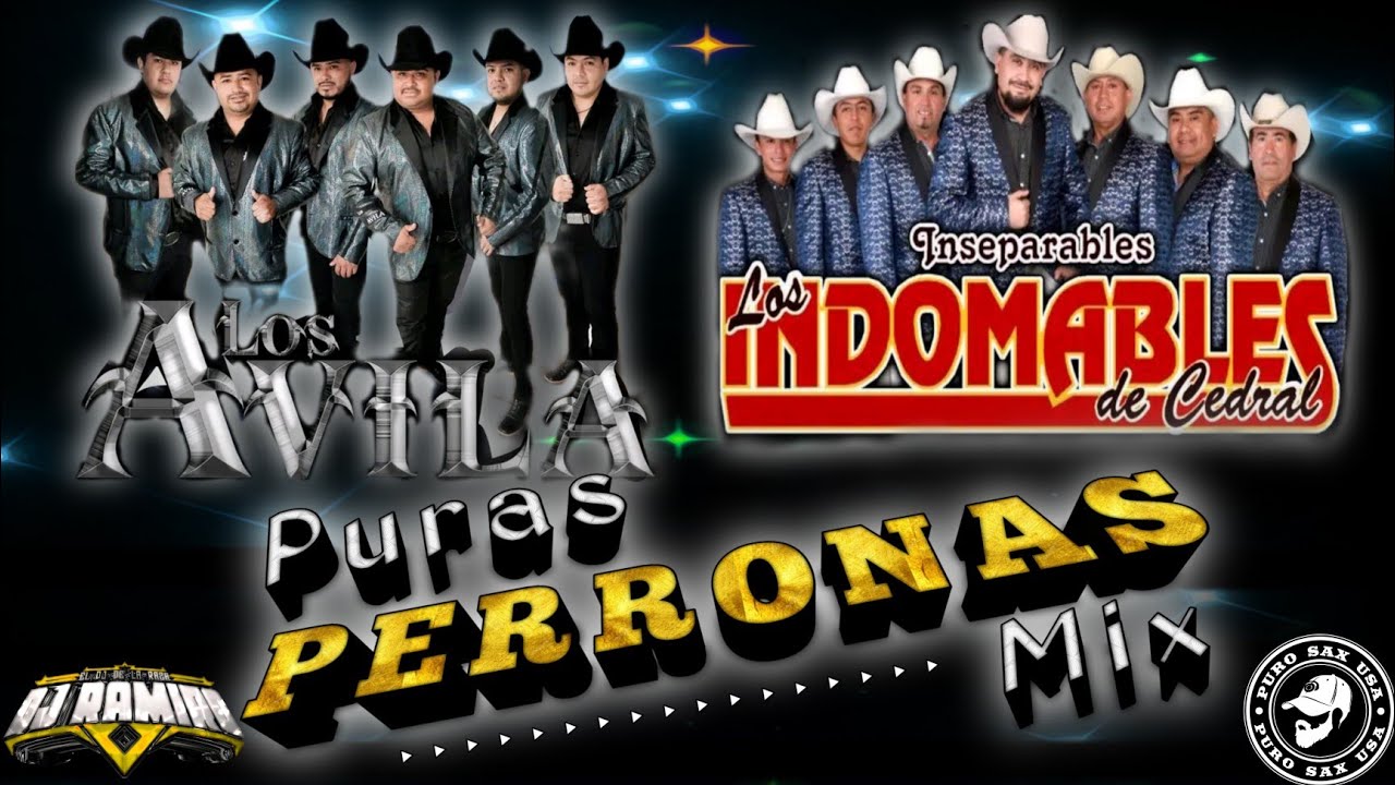 Mix Los Indomables De Cedral - Vs - Los Avila (Puras Perronas Mix) - Dj Ramiro El Dj De La Raza 2022