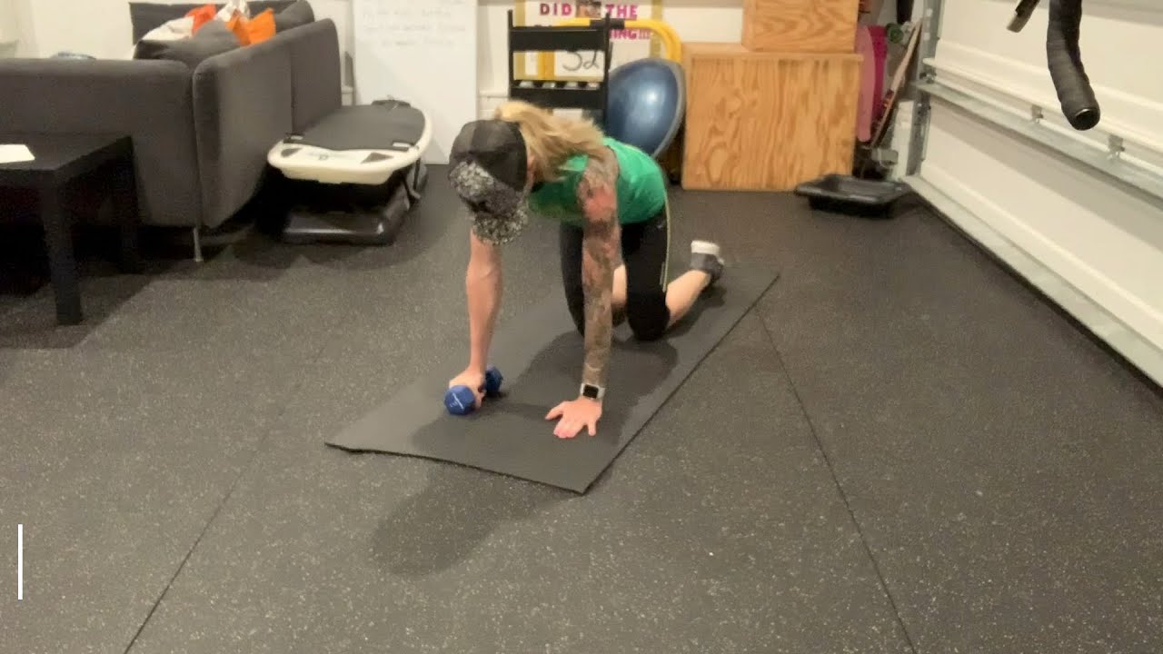 Weighted bird dog tuck
