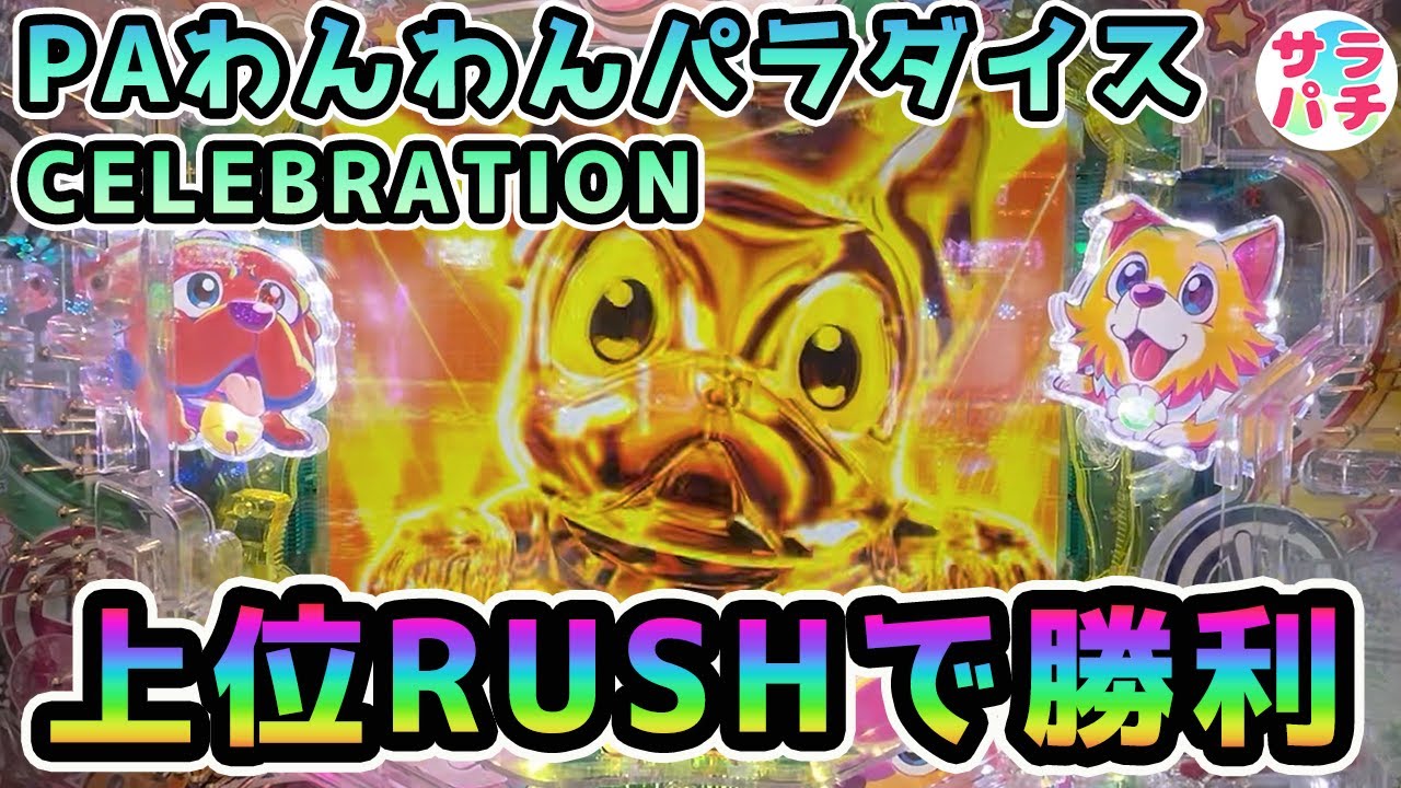 【目指せ貯玉10万発】わんわんセレブレーションRUSHが凄かった‼甘デジのパチンコ実践‼【PAわんわんパラダイスCELEBRATION】【第118回目】