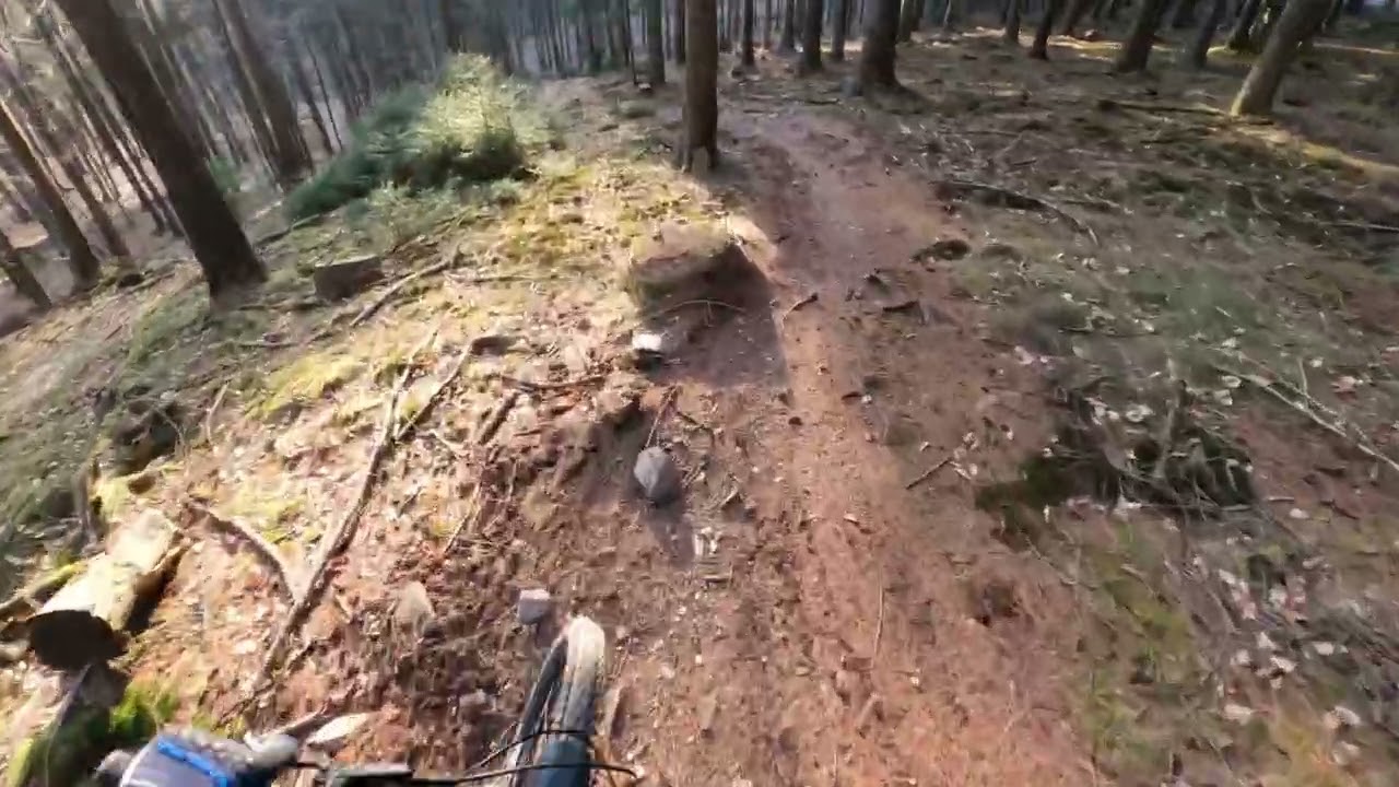 MTB 2026 Taunus spring evening ride