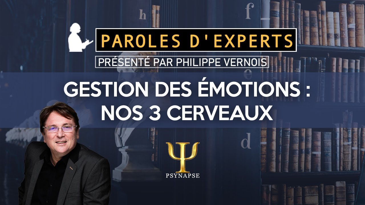 Néocortex, cerveau limbique ou reptilien : 3 Cerveaux pour gérer nos émotions