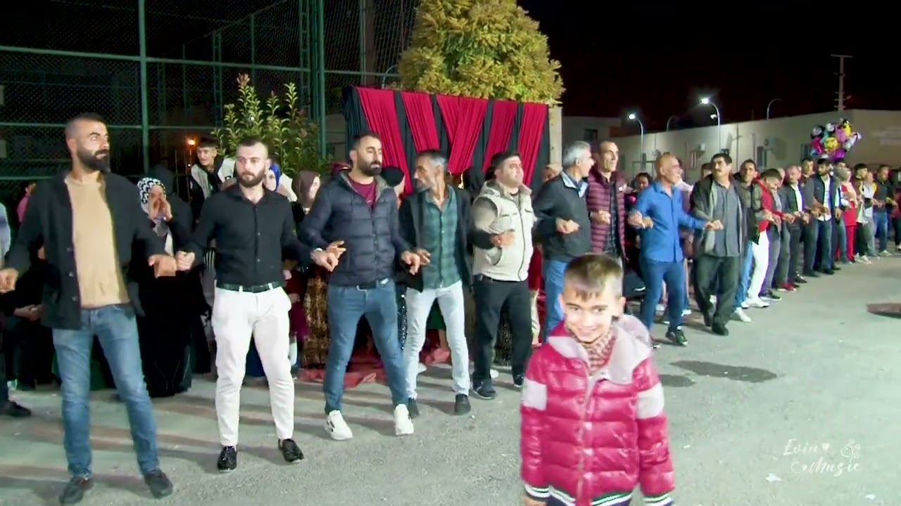 Segavi Canlı Performans Evin Müzik (Daweta Nas'lara - Tarsus)