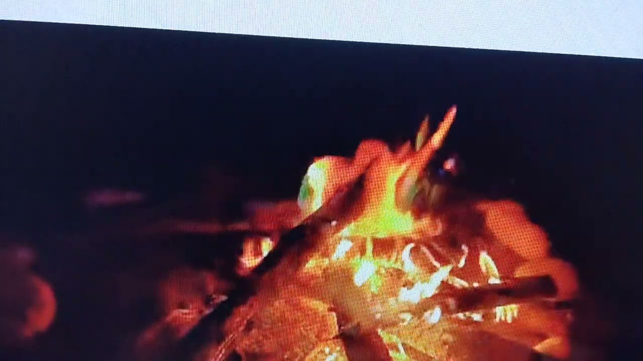 VID 20260309 204155