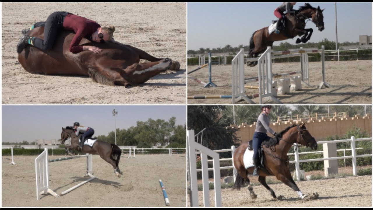Danger Zone (Horses)