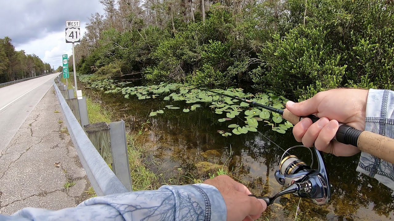 Canal Fishing in The Everglades for Peacock Bass
