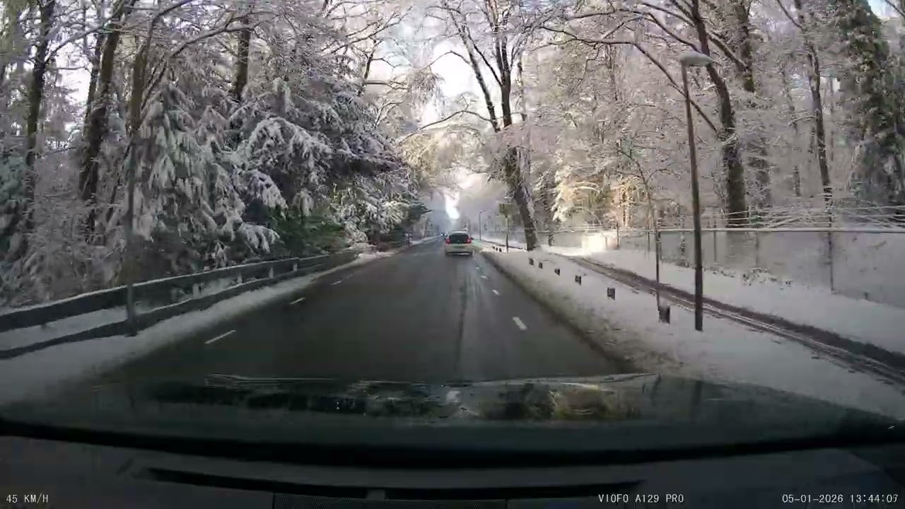 Winter Wonderland  - Netherlands Jan 2026