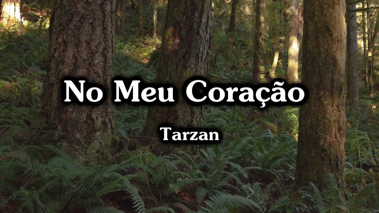 Karaokê - No meu coração (Português-BR)